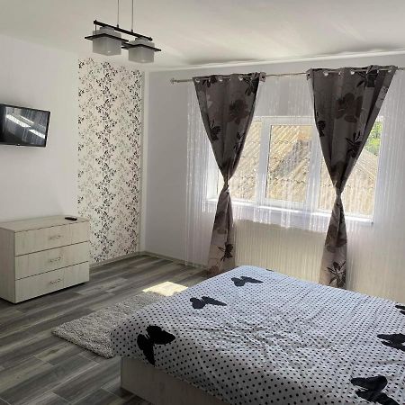 Dana Studio Tulcea Exterior foto
